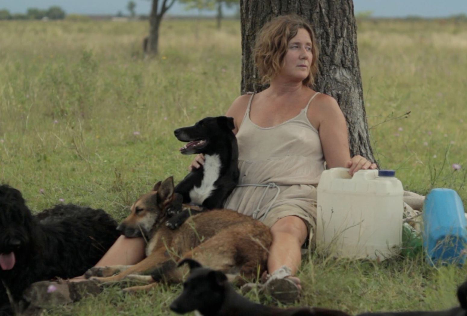 nao lady with dog